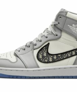 Air Jordan 1 Retro High “Dior”