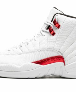 Air Jordan 12 “Twist”