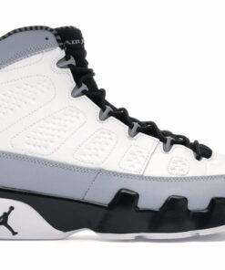 Air Jordan 9 Retro BG Barons