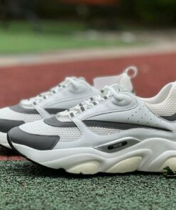 Dior B22 Sneaker White Grey