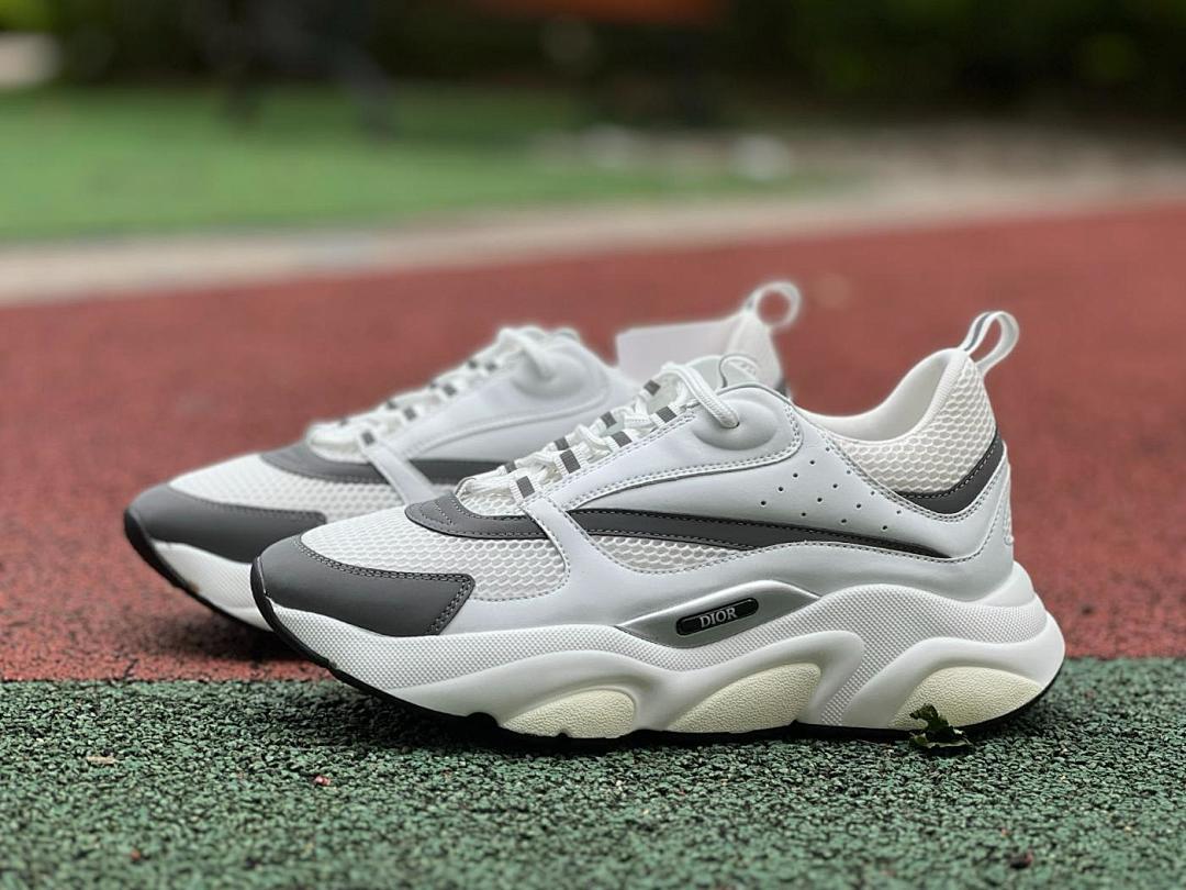 Dior B22 Sneaker White Grey