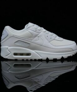 Nike Air Max 90 Triple White CN8490-100