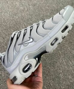 Nike Air Max Plus Wolf Grey Black DH4776-001