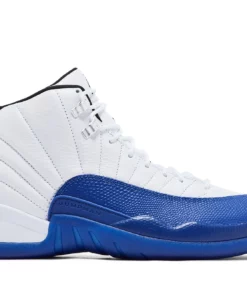 Air Jordan 12 ‘Blueberry’ CT8013-140